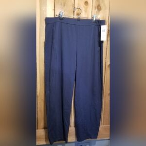Eileen Fisher XL blue crop pants